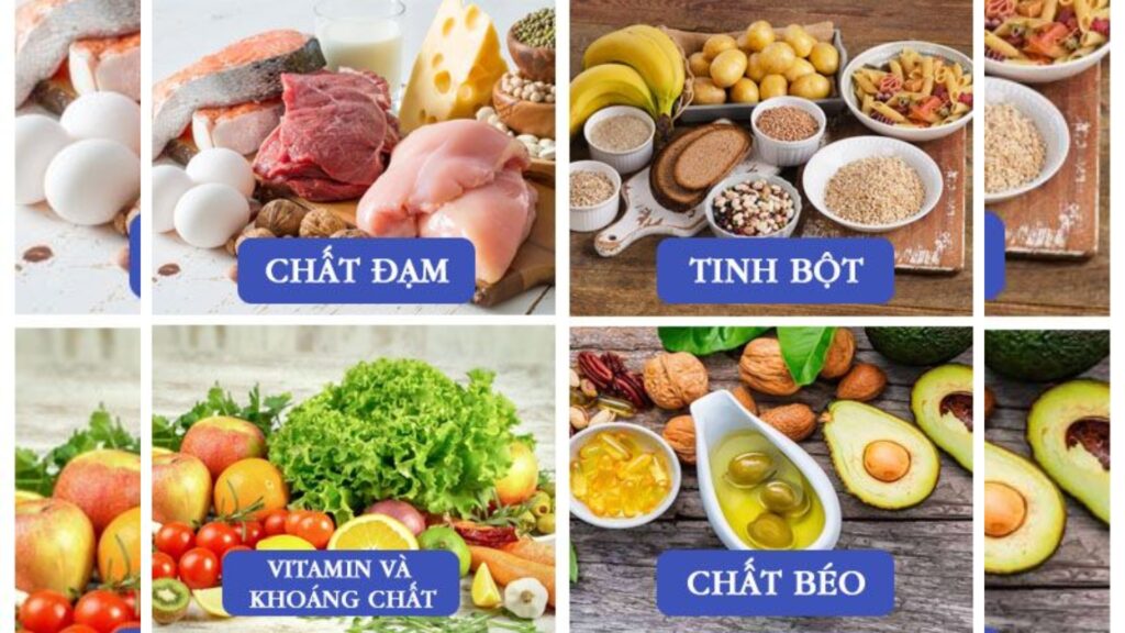 chế độ ăn cân bằng hàng ngày